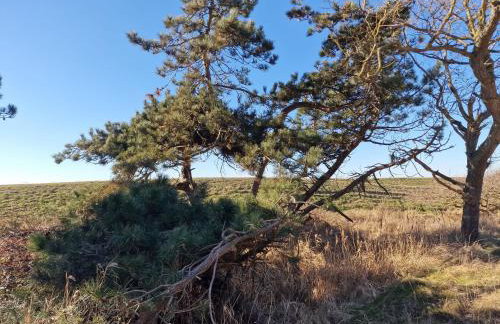 Haus-Fehmarn-am-Dorfteich-|-Wohnung-3-Nord - Foto 51