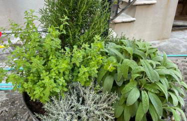 GOA SEA APARTMENT - appartamento in centro Garden&freepark - Foto 26