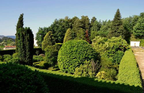 Casa dos Pinheiros - Pinheiros Farm House - Foto 30