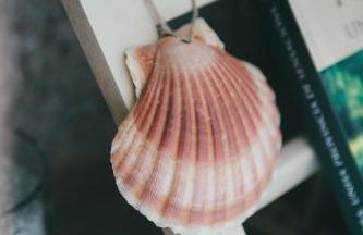 Apartamentos Aurelia Antica - Photo 59