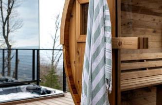 Stunning Mirrored Glass Cabin with Hot Tub & Sauna near Lookout Mountain, Dade County, GA - Foto 3