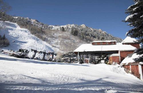 Capitol Peak Lodge by iTrip Aspen Snowmass - Photo 14