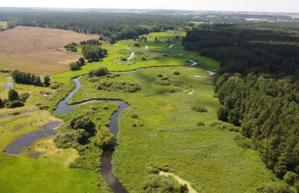 Dworek Willa Biała Góra - Foto 7