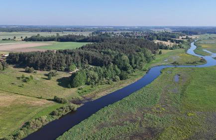 Biebrzaski - dom nad Biebrzą - Foto 28