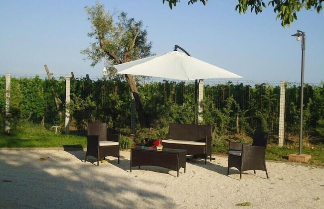 Masseria Campierti - Foto 31