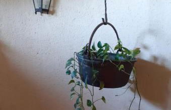 Casa rural Entreaguas - Photo 21