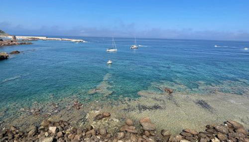 Casa Castel - Foto 4, Garden view