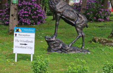 Forest Valley Holiday Home - Foto 30