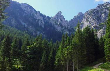 PeThe`s No 1 - Foto 35