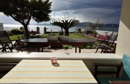 Παραθαλάσσιο διαμέρισμα με κήπο στον Αγιόκαμπο - Foto 18