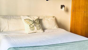 Amplio y luminoso apartamento Plz de la Merced - Foto 2