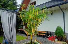 Domek z Góralską Duszą Śleboda - Foto 36