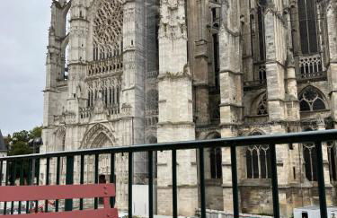 Lovely appartement Vue cathédrale, Hyper centre, proche Aéroport et Gare SNCF - Foto 9