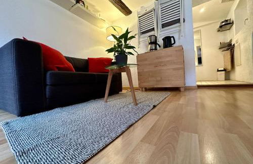 Baumeisterhaus Apartment - Foto 5