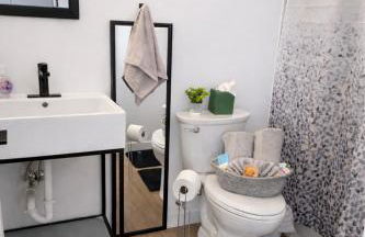 Dwntwn Detroit Wlk to DMC Arena WSU FordField - Photo 27