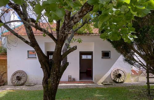 Casa Luis Pato - Foto 53