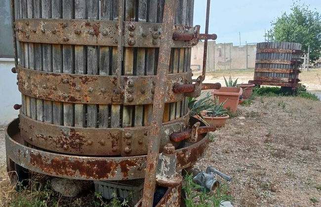 Masseria Belvedere - Photo 34