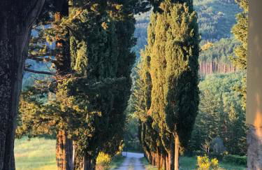 Villa Poggio dei Cipressi - Foto 35