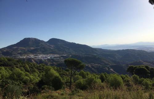 Cabaña La Pura Vida Yunquera - Foto 29