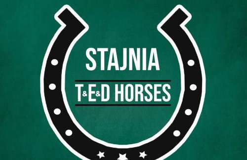 JELONKOWO - Dom na wynajem - Kaszuby - Foto 46