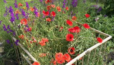 studio ensoleillé avec jardin pour 2 à Monêtier - Photo 2, Garden