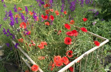studio ensoleillé avec jardin pour 2 à Monêtier - Photo 2
