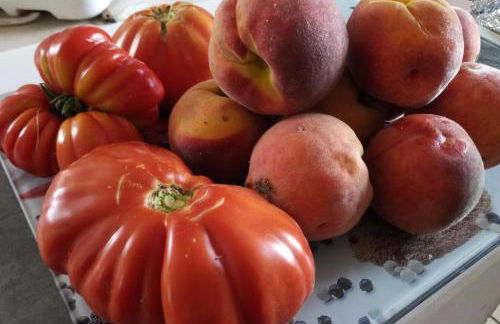 suite in cascina affittacamere - Photo 41