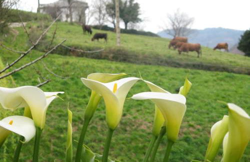 Apartamentos Rurales Casa El Caminero - Foto 30