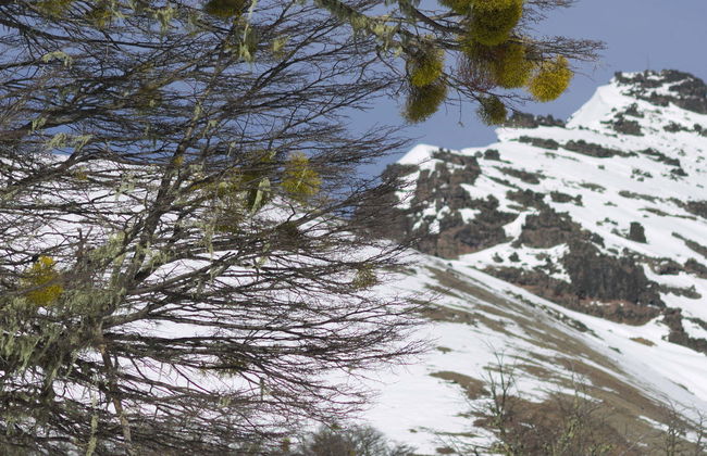 Excursion au Cerro Chapelco + Belvédère Arrayanes - Photo 1