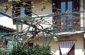 La casa di Ginger - Malpensa - Foto 2