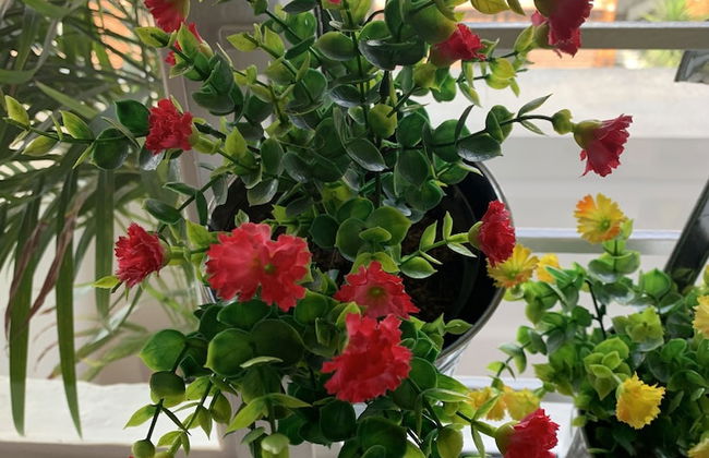 Apto muy bien ubicado- Home ARIS 401 - Foto 9