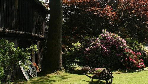 Ferienhof Wroge - Foto 2, Garden