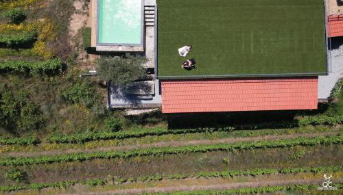 Quinta da Coitada - Alojamento Local - Foto 3