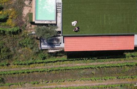 Quinta da Coitada - Alojamento Local - Photo 3