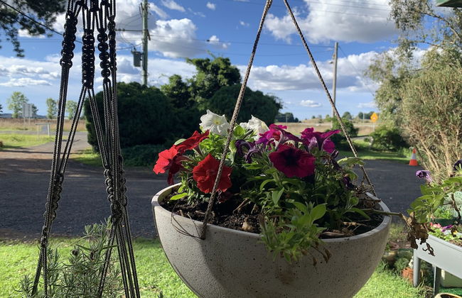 New England Highlands RV Park - Foto 19