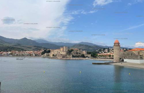 4SOL25 - Collioure charmante maison de village 150 m de la plage - Foto 24