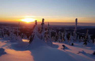 Traumblick Bayerischer Wald, Pool & Sauna, Getränke, Klimaanlage - Foto 57