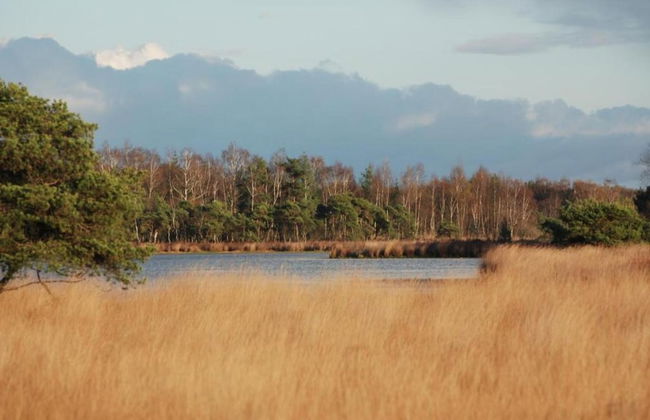 Chalet by Park Pond in the Netherlands - Photo 27
