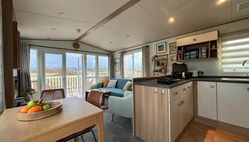 Little Curlew, Ynyslas, Borth - Foto 2