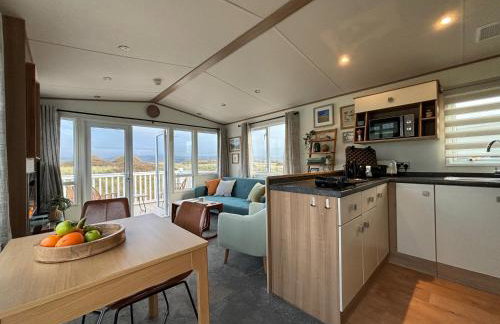 Little Curlew, Ynyslas, Borth - Foto 2