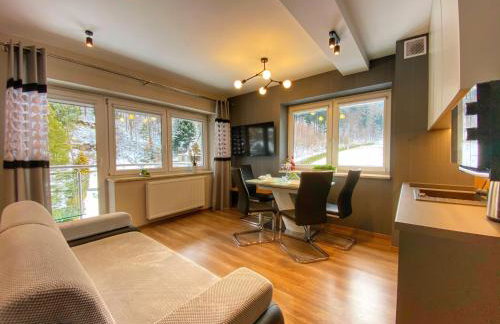 Kurort Kozubnik Apartament 33 Wellness &SPA - Foto 1