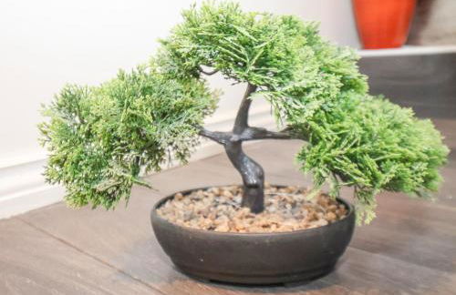 The Nail Shed - Foto 31