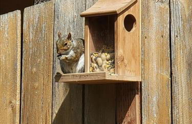 Tony's Riverside Oasis - Foto 40