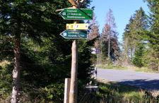 Ferienwohnung M.Spindler - Foto 19