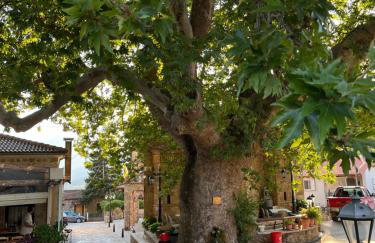 Fos Guesthouse - Foto 16