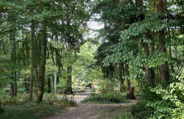 Maison des Sources Touraine -SPA- - Foto 52
