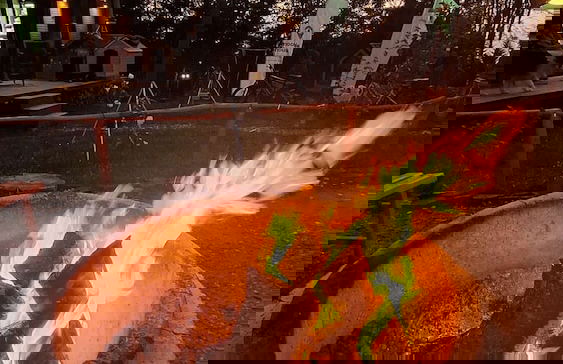 Tumba Sisli Vadi - Foto 80