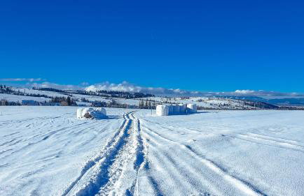 Willa Rąbanisko z sauną fińską - Foto 68