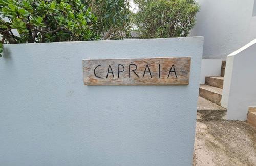 Domaine U Pozzu - Foto 31