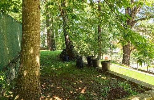 Apartamentos la Francesa - Photo 22